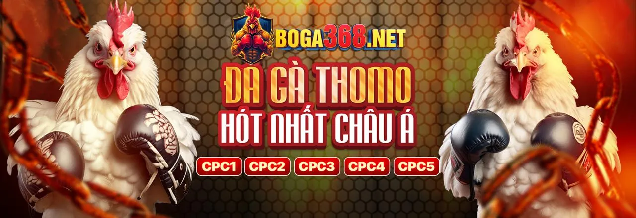 Đá gà trực tuyến 888now333